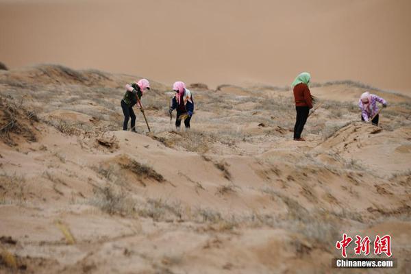 活侠传demo怎么读档